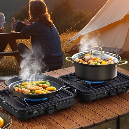portable double burner gas stove