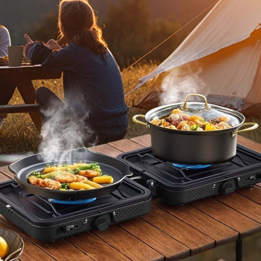portable double burner gas stove