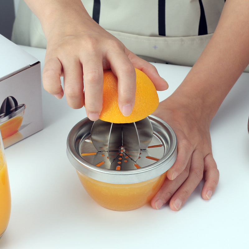 Manual Juice Extractor